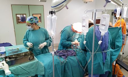  Uno de ellos tuvo lugar en el Sanatorio Italiano Centro, el otro en el Hospital de Emergencias Clemente Álvarez (HECA). Uno de ellos tuvo lugar en el Sanatorio Italiano Centro, el otro en el Hospital de Emergencias Clemente Álvarez (HECA).