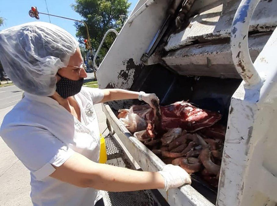 La Municipalidad de Santo Tomé clausuró una carnicería ubicada ubicada en Avenida Luján y Colón