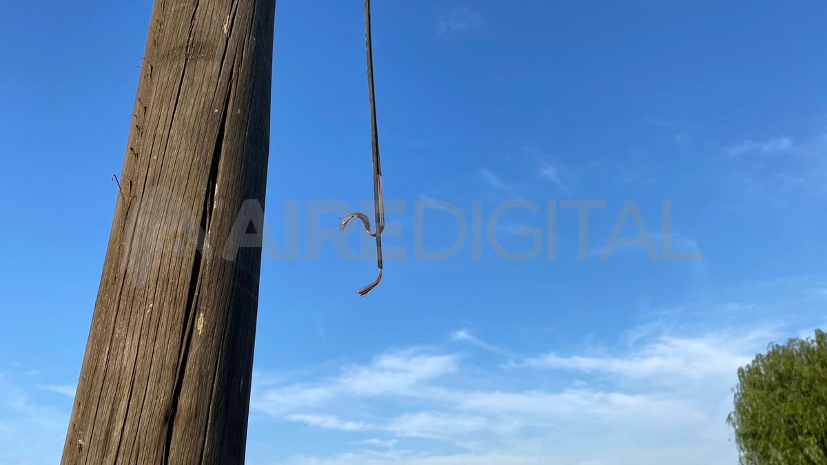 Así arrancaron el cableado que pudieron en el predio del Club Deportivo Agua. Así arrancaron el cableado que pudieron en el predio del Club Deportivo Agua.