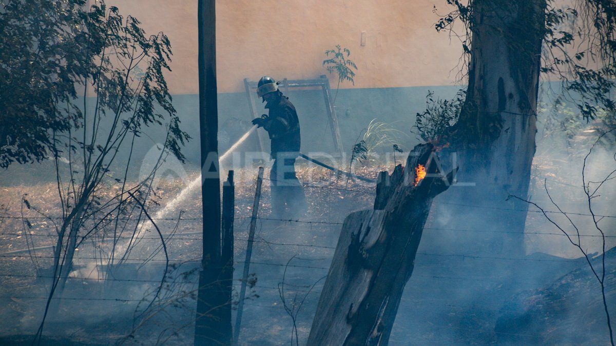 Los trabajadores que combaten los incendios forestales en más de 12 provincias argentinas recibirán un bono de $10.000.&nbsp;