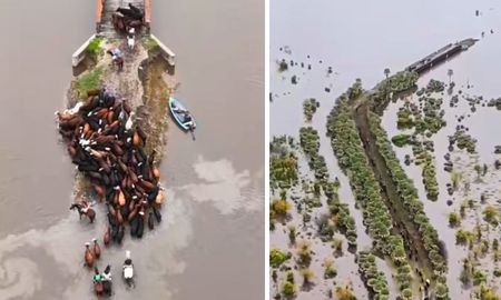 imagenes impactantes: antes de el nino, los bajos submeridionales siguen inundados y los ganaderos evacuan hacienda imagenes impactantes: antes de el nino, los bajos submeridionales siguen inundados y los ganaderos evacuan hacienda