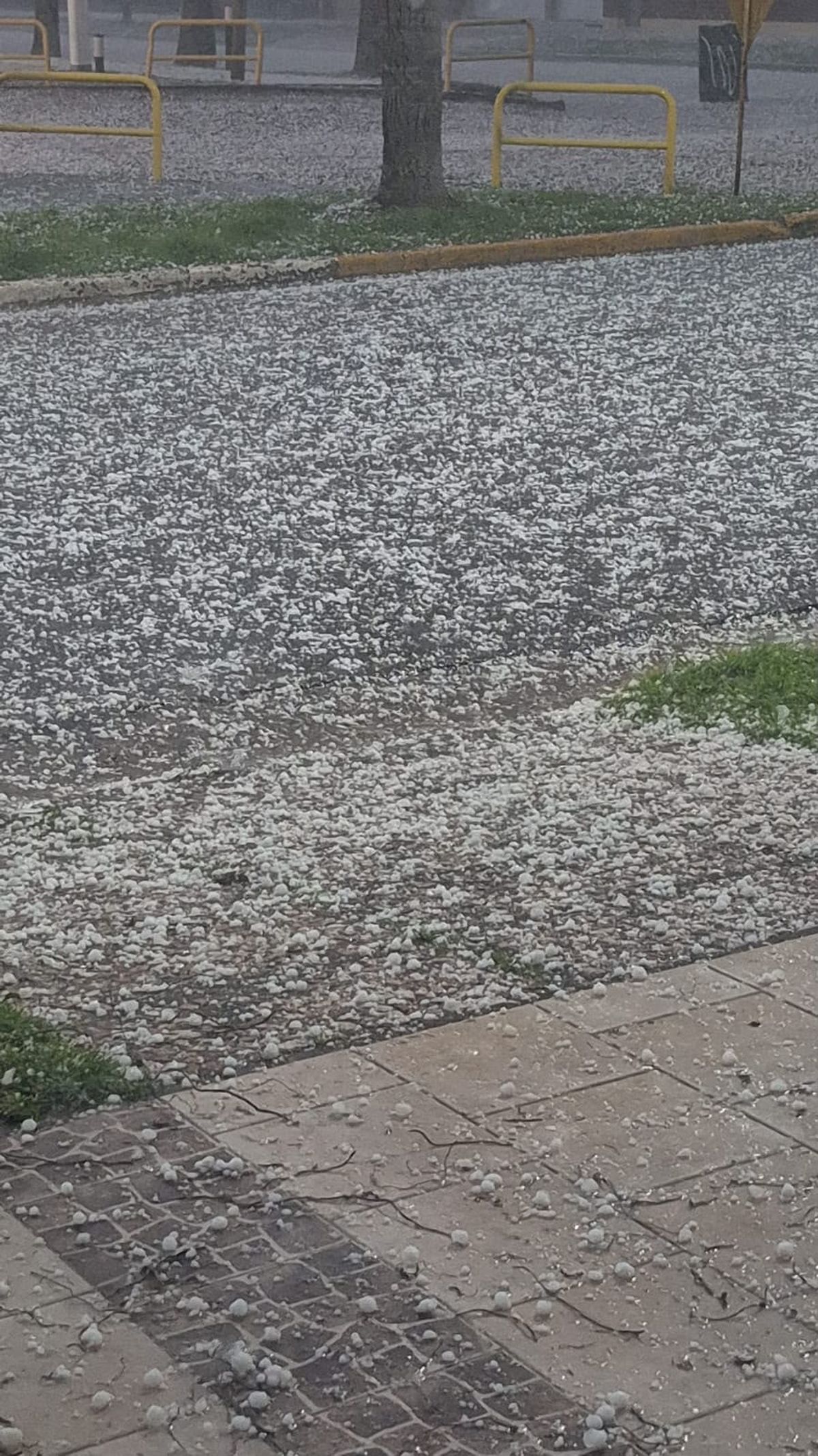 Fuerte granizada en la localidad de Las Rosas, Santa Fe.