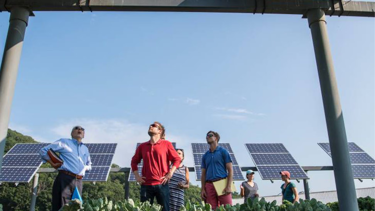 La carrera que nadie conoce y tiene salida laboral inmediata