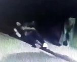 la autopsia revelo que el ladron muerto por el jubilado de quilmes recibio dos disparos la autopsia revelo que el ladron muerto por el jubilado de quilmes recibio dos disparos