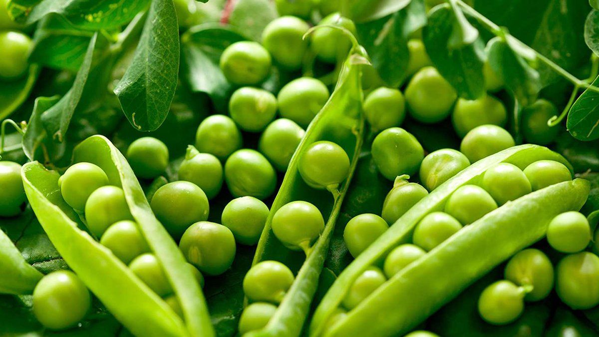 El Gobierno propuso volver a "0%" los derechos de exportación (DEX) para las economías regionales y eliminar la facultad del Poder Ejecutivo de subir las retenciones. El Gobierno propuso volver a "0%" los derechos de exportación (DEX) para las economías regionales y eliminar la facultad del Poder Ejecutivo de subir las retenciones.