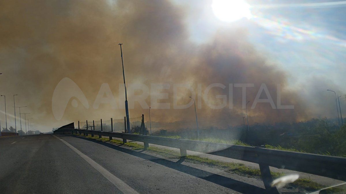 Este domingo por la tarde