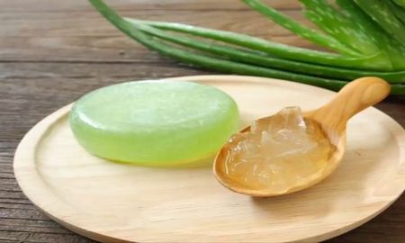 Al aloe vera ayuda a mejorar el aspecto de la piel y terminar con las arrugas. Al aloe vera ayuda a mejorar el aspecto de la piel y terminar con las arrugas.
