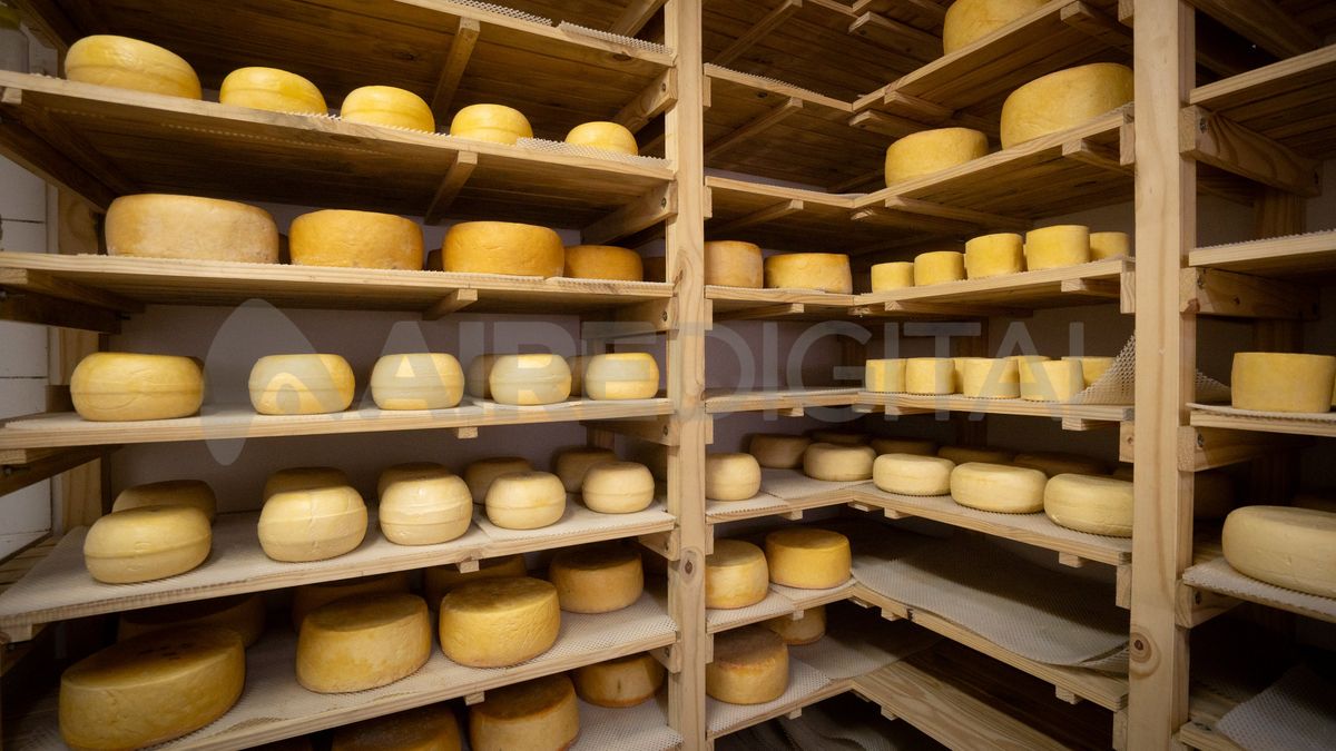 Los volúmenes exportados y el ingreso de divisas se vio afectado durante 2022 y 2023.