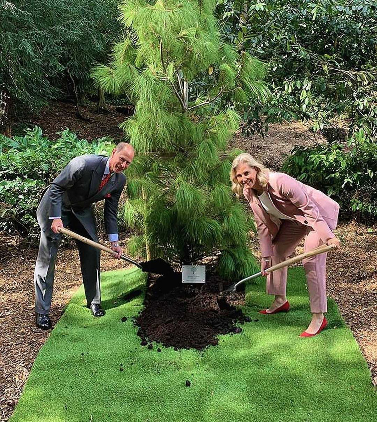 El príncipe Eduardo y su esposa Sofía plantaron un árbol horas antes del fallecimiento de la reina Isabel II.