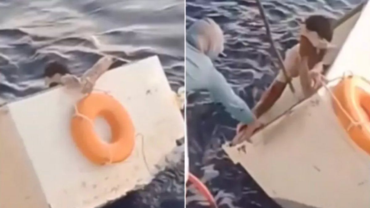 Brasil: un hombre náufrago once días y sobrevivió dentro de un freezer