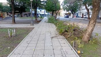 Árboles caídos, techos volados y postes rotos: el saldo de la tormenta en Santa Fe