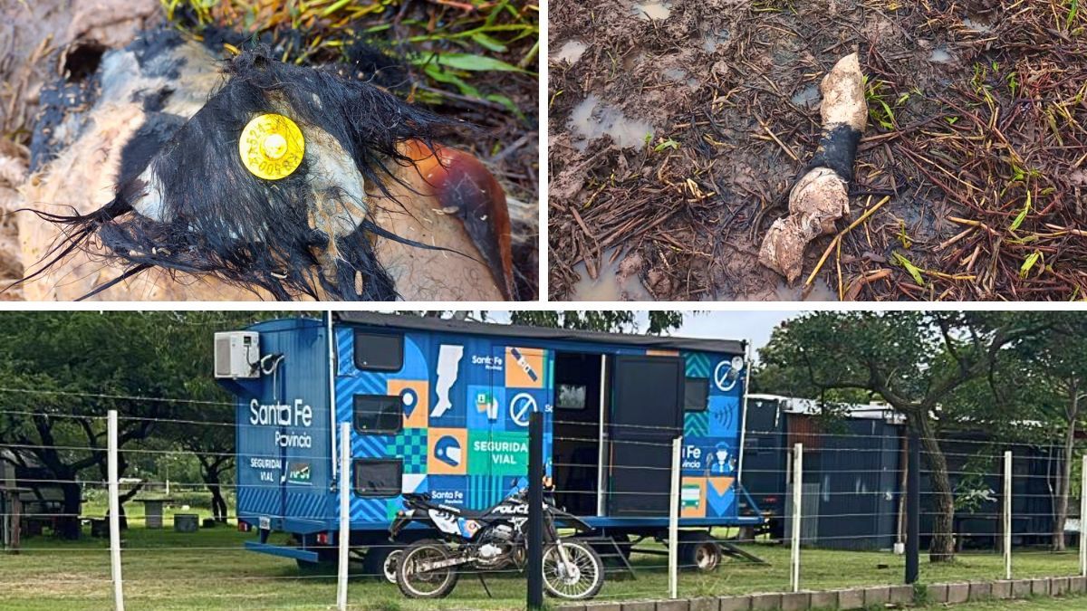 El productor denunció que el destacamento móvil quedó inactivo el año pasado, pocos meses después de su instalación; mientras en las islas siguen apareciendo restos de animales faenados.