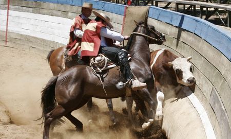 El Rodeo que se realiza en Chile fue fuertemente criticado en la elaboración del borrador de los derechos de los animales para la nueva Constitución Nacional del país. El Rodeo que se realiza en Chile fue fuertemente criticado en la elaboración del borrador de los derechos de los animales para la nueva Constitución Nacional del país.