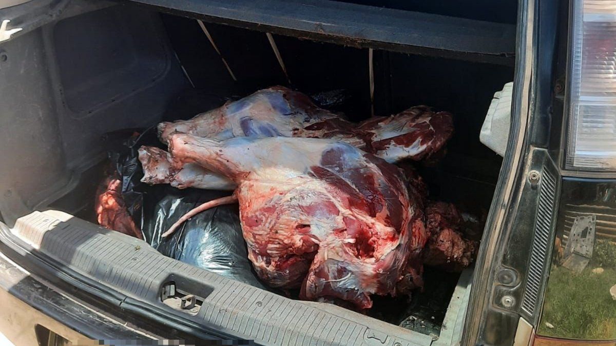 Un hombre de San Justo fue detenido por el personal de la Guardia Rural Los Pumas ofreciendo carne cuatrereada.