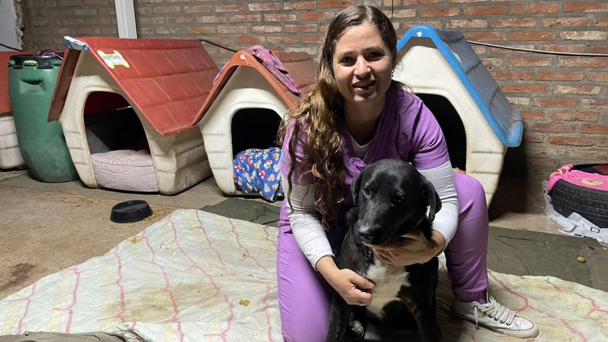 Anahí Montiel, médica veterinaria de Los Cibeles. Anahí Montiel, médica veterinaria de Los Cibeles.