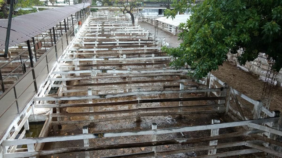 La medida de fuerza durará hasta el 28 de mayo.