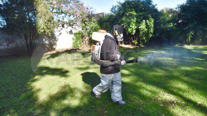 Dengue en Santa Fe: Rosario concentra 149 casos y se afianza como epicentro del brote