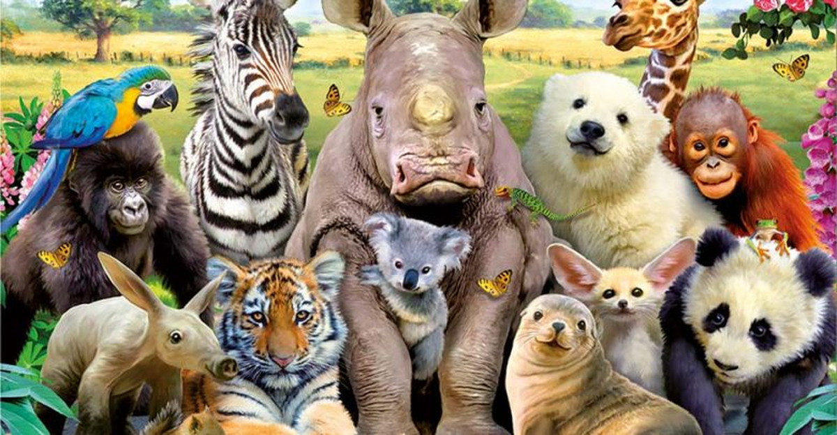 Día Internacional de los Derechos de los Animales: ¿por qué se festeja el 10 de diciembre?