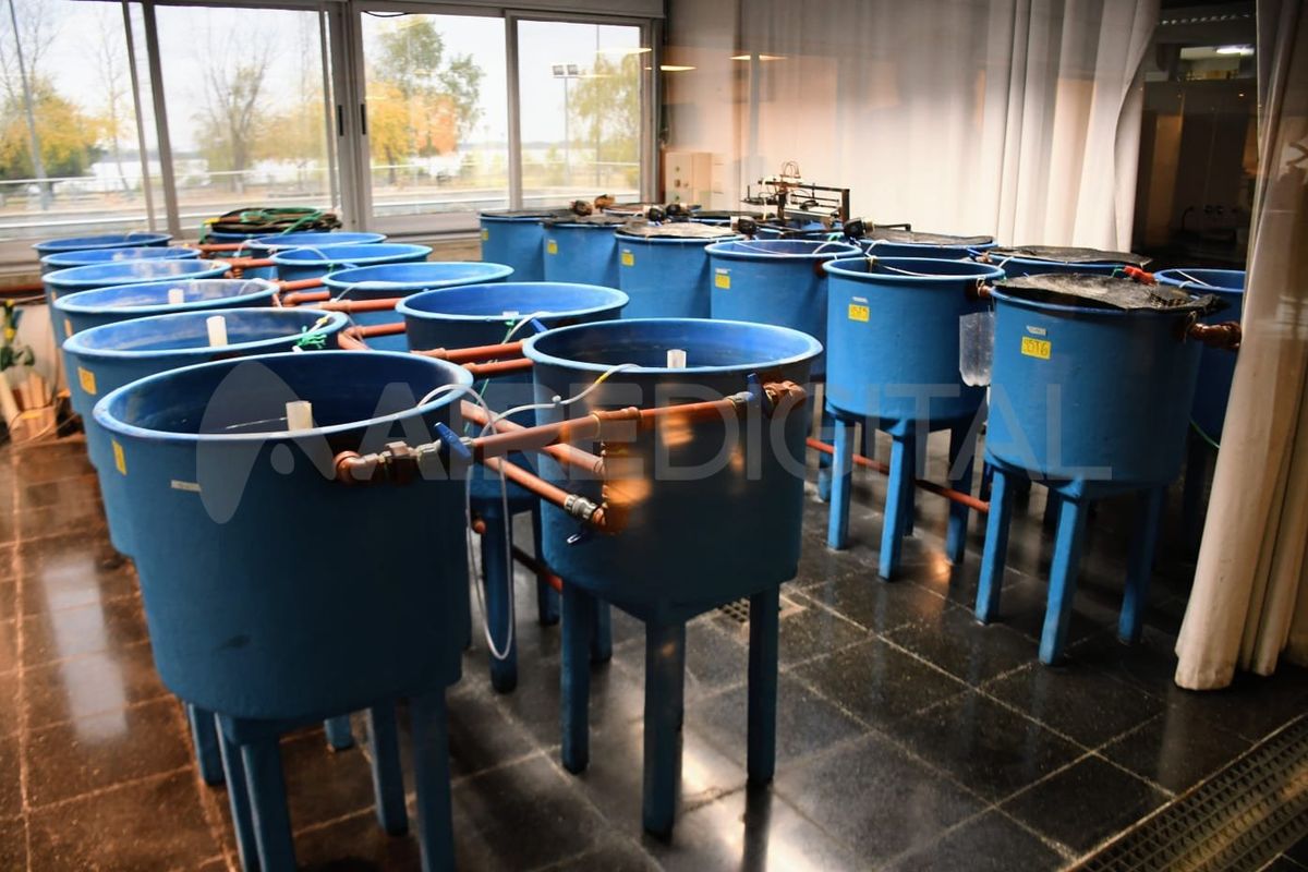 La UNR y el gobierno comenzaron a trabajar con un programa de desarrollo de la acuicultura para el cual Santa Fe tiene “un potencial increíble”.