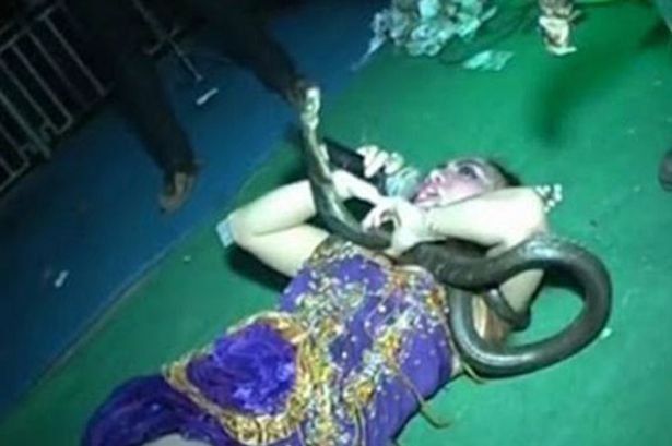 El día en que una cantante murió en el escenario mordida por una cobra