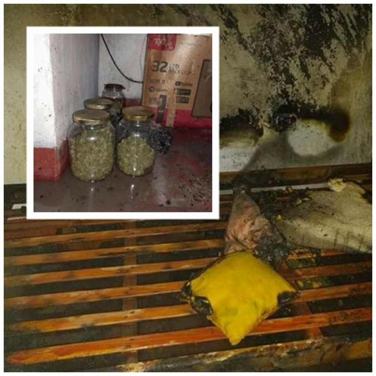 Se descubrieron ramas y hojas secas almacenadas en recipientes de vidrio que aparentemente sería cannabis sativa.