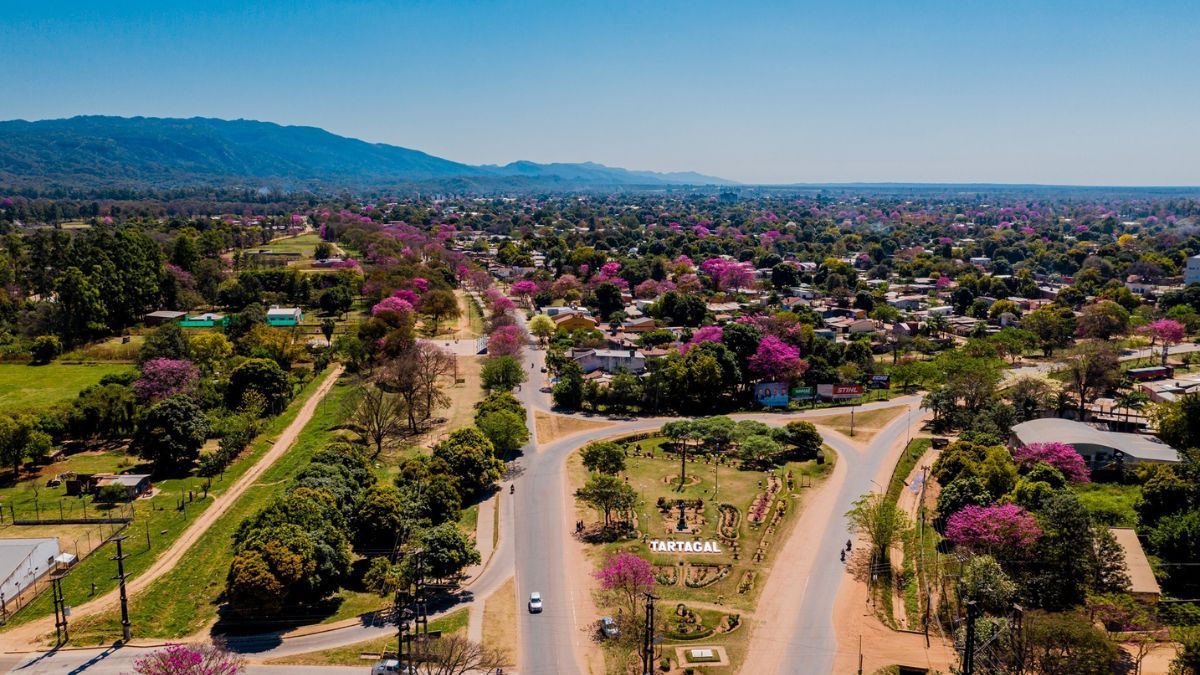 El Monumento Natural Bosques Petrificados es una de las experiencias más buscadas por quienes visitan el pueblo.