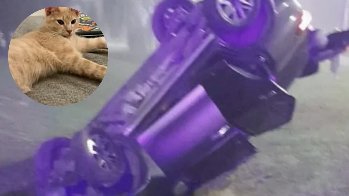 Además de sufrir el robo de su camioneta