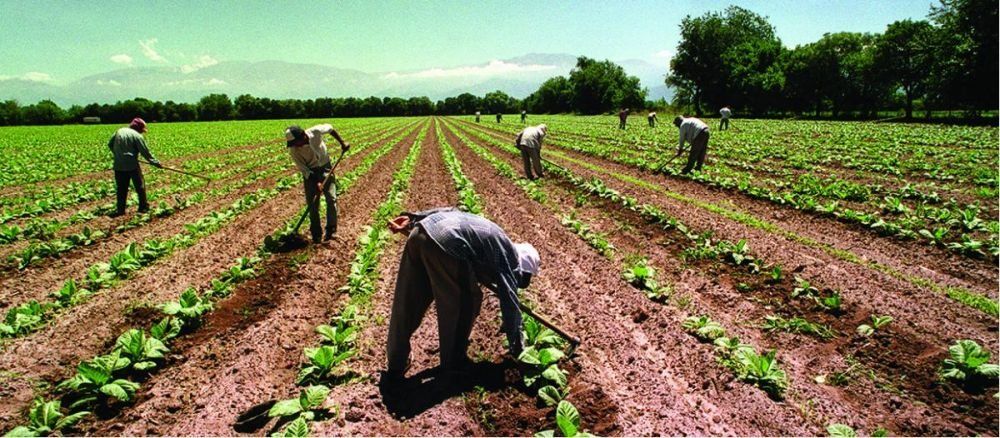 La medida beneficia a economías regionales de las provincias de Buenos Aires, Chaco, Córdoba, Corrientes, Entre Ríos, Formosa, Jujuy, La Pampa, La Rioja, Mendoza, Misiones, Neuquén, Río Negro, Salta, San Luis y Santa Fe.