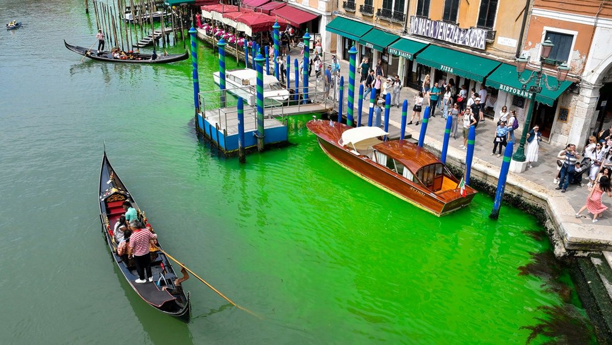 Las aguas del Gran Canal de Venecia amanecieron teñidas de verde fosforescente de investigan las causas.