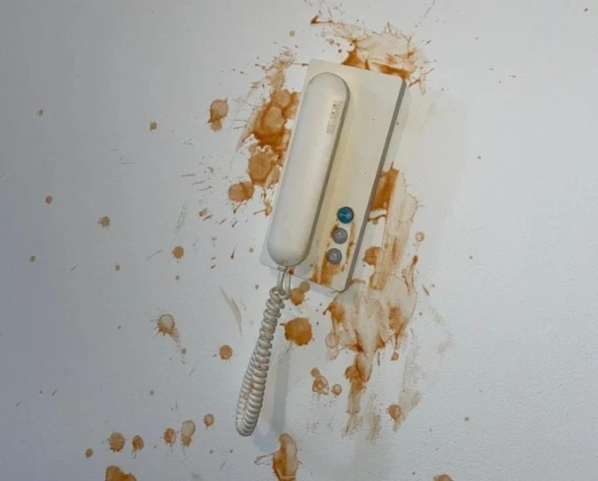 Las paredes hubo que pintarlas de nuevo. 