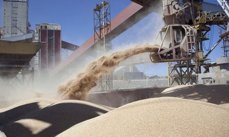 paro del campo: una medida de fuerza a pedido de las bases y con 100% de adhesion paro del campo: una medida de fuerza a pedido de las bases y con 100% de adhesion