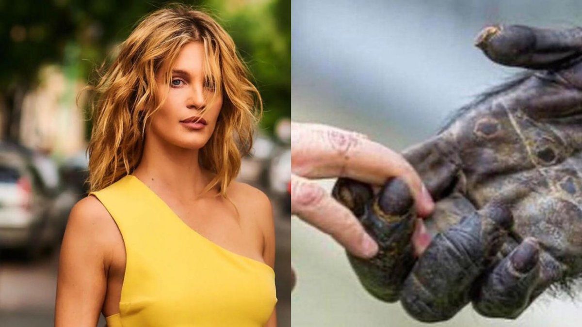 Liz Solari poste&oacute; una foto por el crimen de George Floyd