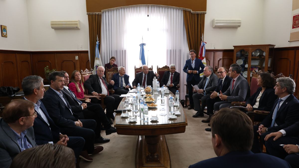 Tras el encuentro con la Corte, Michlig detall&oacute; que las observaciones recibidas fueron incorporadas al an&aacute;lisis legislativo y que existe la posibilidad de revisar la norma en el corto plazo.