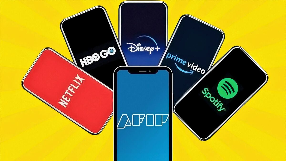 Devolución de las percepciones del 2023: cómo hacerlo en la página de AFIP.