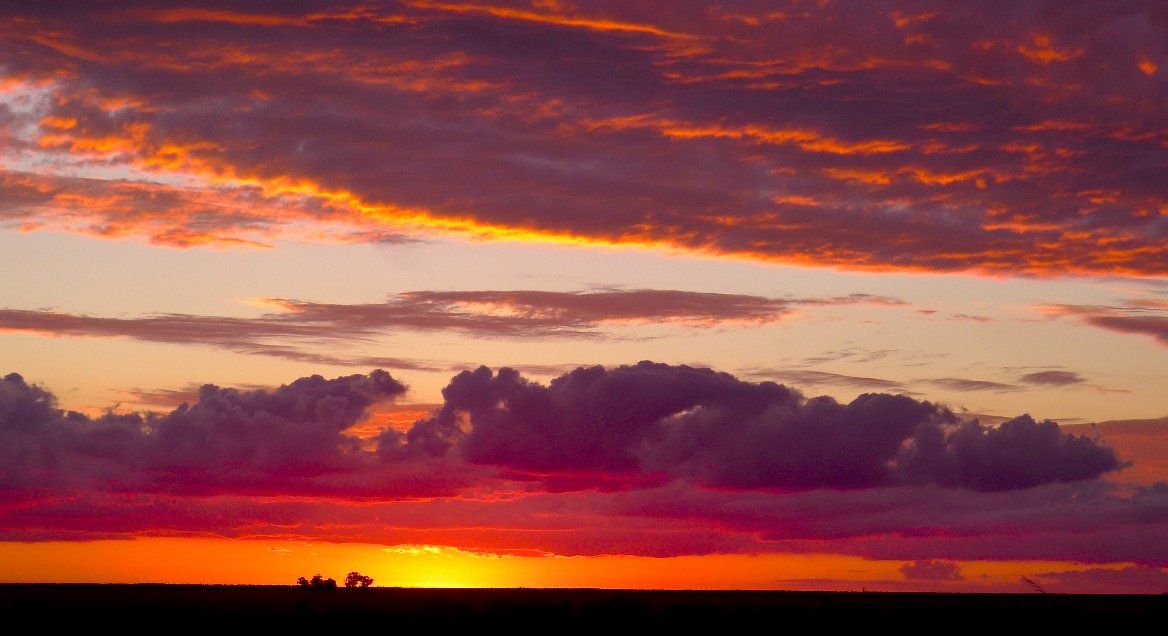 Esteros del Iberá y Pantanal del Matto Grosso: Semejanzas y diferencias