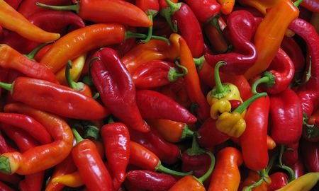 ¿te gusta la comida picante? el aji picante seria bueno para evitar accidentes cerebrovasculares y ataques cardiacos ¿te gusta la comida picante? el aji picante seria bueno para evitar accidentes cerebrovasculares y ataques cardiacos