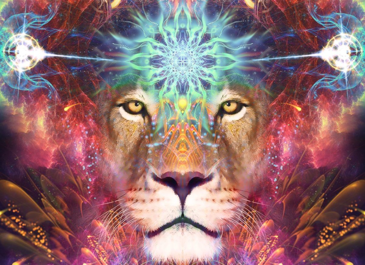 El portal del león: un momento para la transformación que regala la astrología