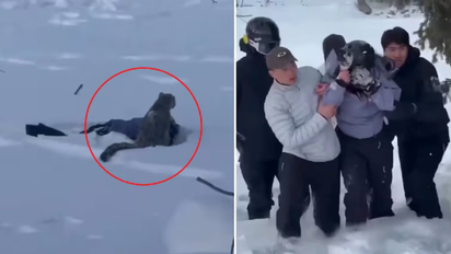 Se quiso sacar una selfie con un leopardo y terminó entre sus garras: la foto del horror