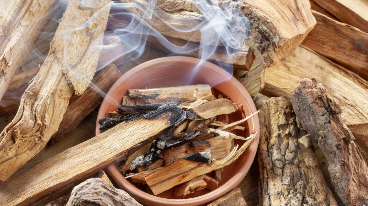 El Palo Santo ayuda a ampliar la visión para recibir paz y amor.