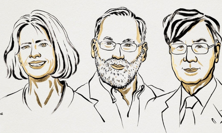Mary E. Brunkow, Fred Ramsdell y Shimon Sakaguchi recibieron el Nobel de Medicina Mary E. Brunkow, Fred Ramsdell y Shimon Sakaguchi recibieron el Nobel de Medicina