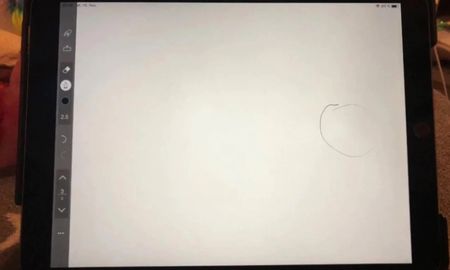La nueva pesadilla en los iPad es un pequeño punto blanco