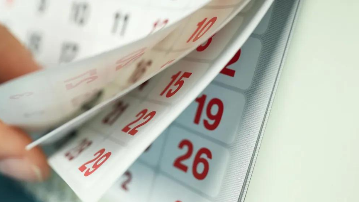 Conocé cómo se cobra el feriado de 25 de mayo cuando cae sábado.