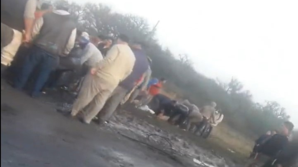 Calchaquí: volcó un camión jaula que trasladaba vacas, muchas murieron y los vecinos las carnearon en el lugar.