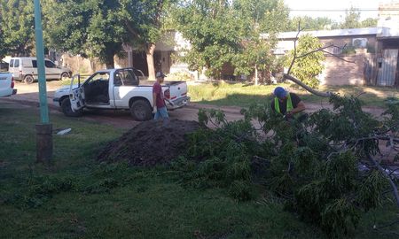Las cuadrillas municipales de Santo Tomé continúan trabajando para mitigar los inconvenientes ocasionados. Las cuadrillas municipales de Santo Tomé continúan trabajando para mitigar los inconvenientes ocasionados.