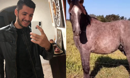 Un joven compró un caballo en una subasta estando borracho y ahora no sabe qué hacer con él: no tengo dónde ponerlo Un joven compró un caballo en una subasta estando borracho y ahora no sabe qué hacer con él: no tengo dónde ponerlo