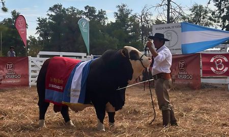 Aire de Santa Fe | ElAmargoToro