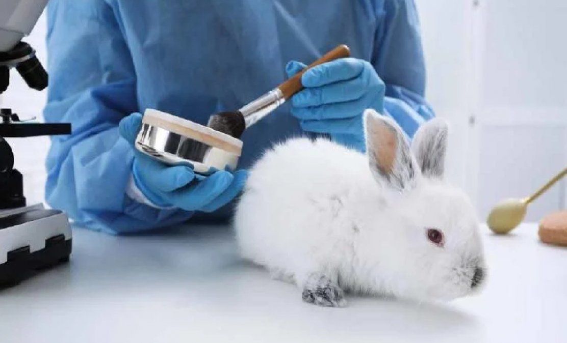 Reino Unido: empresas de cosméticos podrán hacer pruebas con animales por primera vez en 23 años