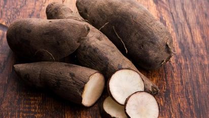 Beneficios y usos del Yacón: el superalimento que mejora la salud y ayuda a adelgazar