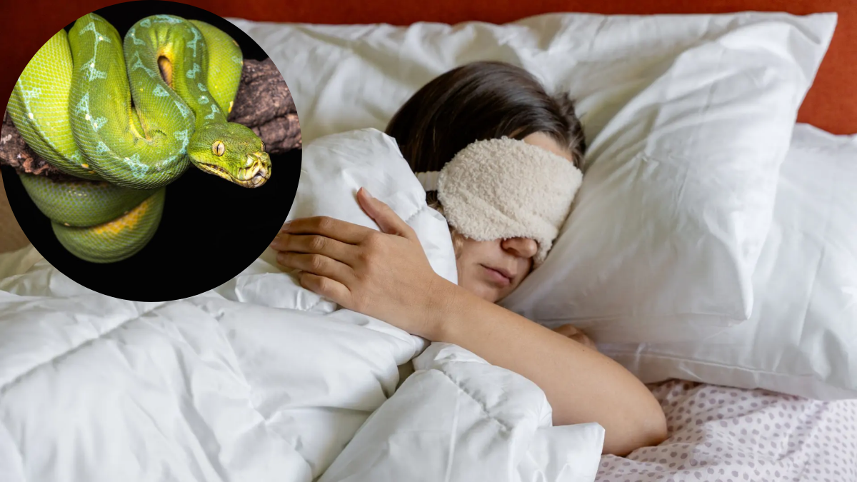 Aunque los sueños con serpientes puedan parecer aterradores
