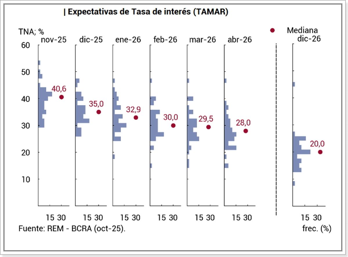 Fuente: Relevamiento de expectativas del mercado - Banco Central.